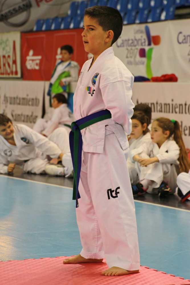 Taekwondo Dic 2016 (173).jpg